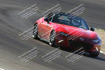 media/Oct-14-2023-West Coast Racing (Sat) [[6853f17b7b]]/Yellow Group/Session 1 (Turn 3)/